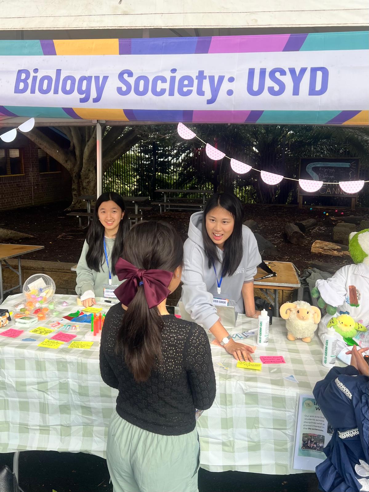STEMFEST photo