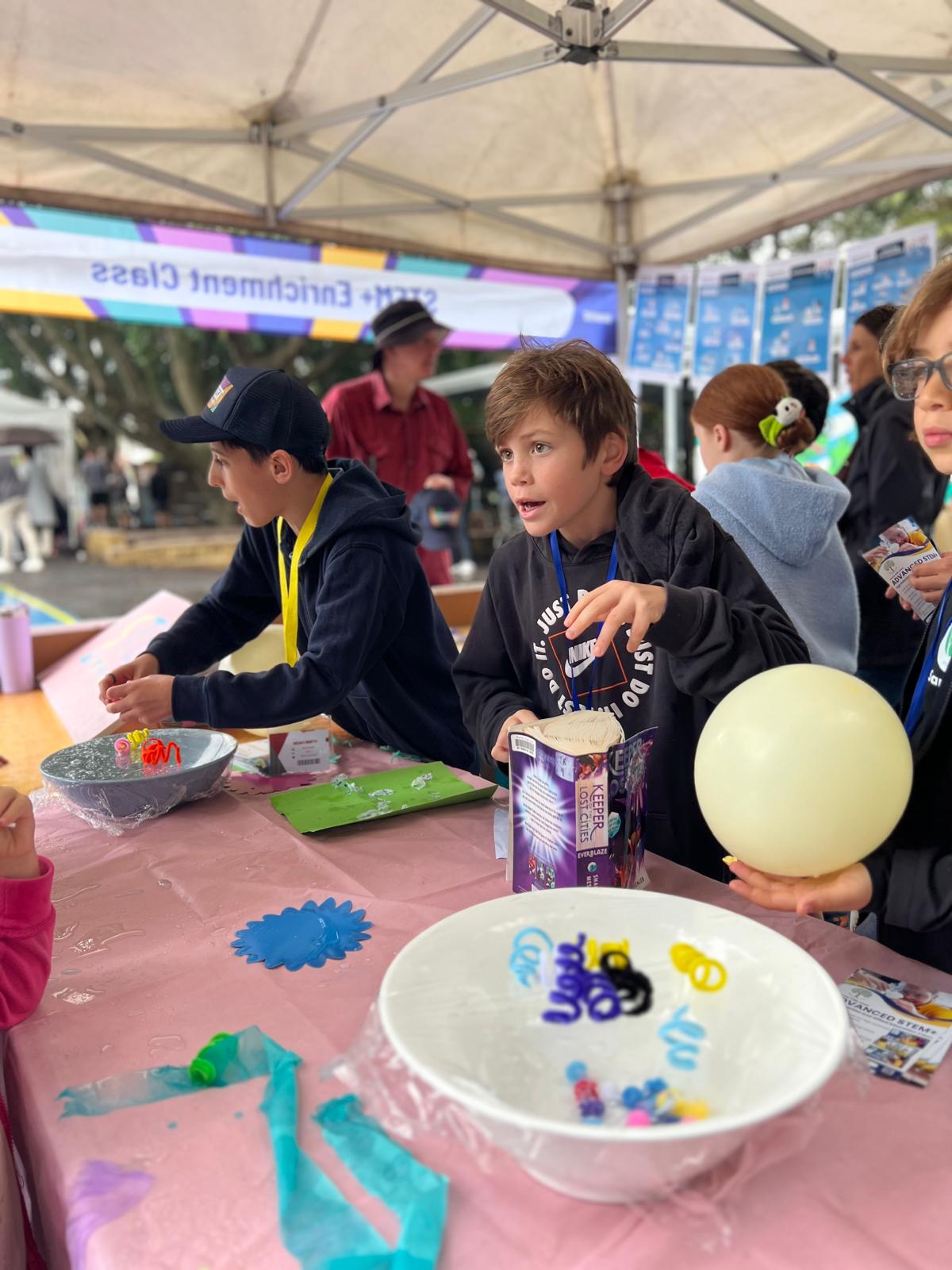 STEMFEST photo