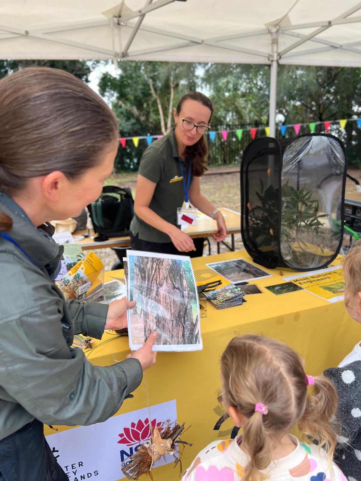 STEMFEST photo