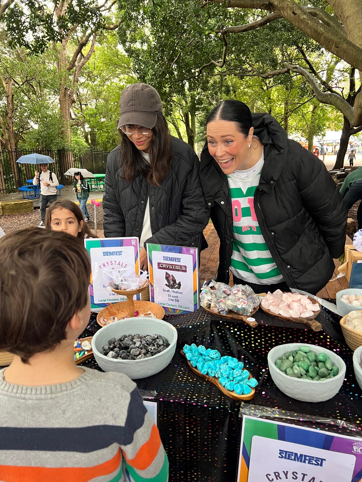 STEMFEST photo