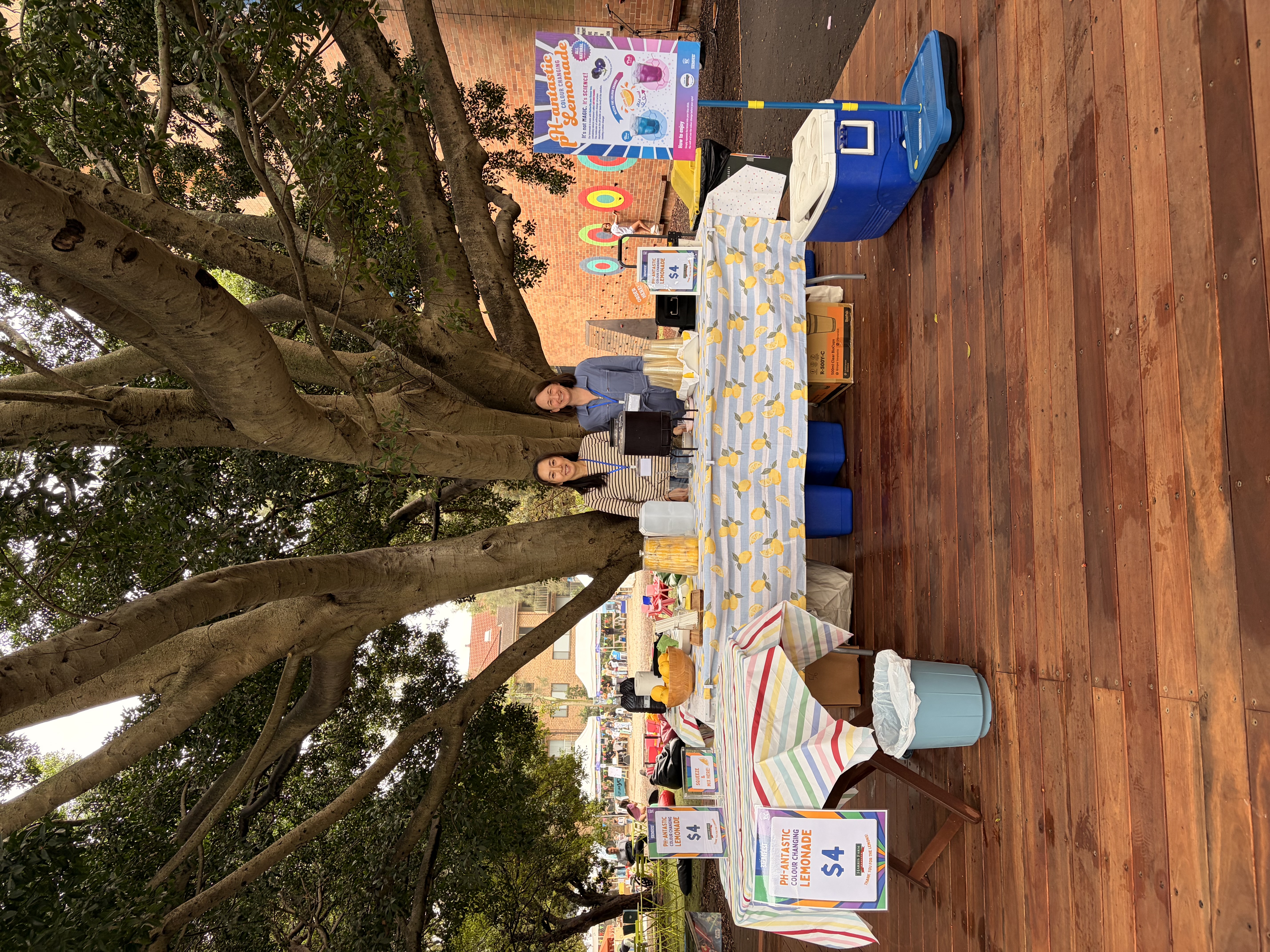 STEMFEST photo